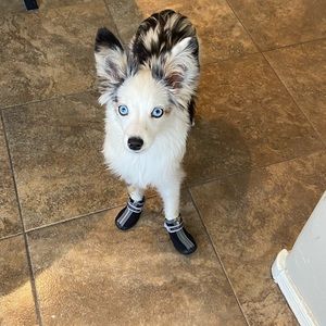 Meet your Posher, Katherine